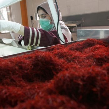 MASHHAD, IRAN:  TO GO WITH AFP STORY "IRAN-FARM-ECONOMY-LUXURY-SAFFRON" An Iranian worker sorts and cleans saffron filaments at Iran's Novin Saffron factory in Touss industrial zone of Mashhad, northeast of Iran, 01 November 2006. Despite Iran's status as the undisputed heavyweight champion of the saffron world, it has yet to realize the full economic potential of the 3,000 year-old industry and faces challenges to hold on to its rampant market share. MORE IMAGES AVAILABLE ON IMAGE FORUM AFP PHOTO/BEHROUZ MEHRI  (Photo credit should read BEHROUZ MEHRI/AFP/Getty Images)